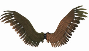 wings2.jpg (300x172, 11Kb)
