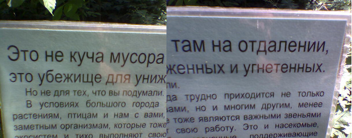 Опубликованное фото