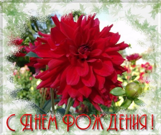http://www.liveinternet.ru/images/attach/12/12230_m______1.jpg