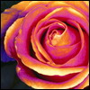 5fff64408ew.jpg (100x100, 6Kb)