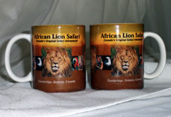 coffeemugs_lg.jpg (242x166, 11Kb)