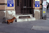 4476web-s.jpg (200x133, 9Kb)