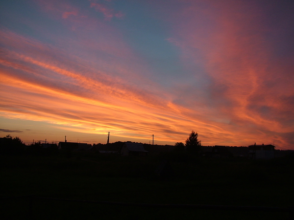 DSCF5062.jpg (600x450, 192Kb)