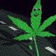.gif (80x80, 5Kb)