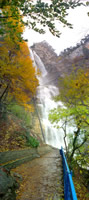 img_.jpg (89x200, 10Kb)