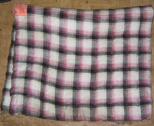 1953284.jpg