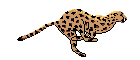9706.jpg (140x60, 7Kb)