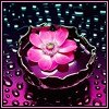 flower_hot_bases11.jpg (100x100, 6Kb)
