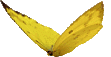 214438_logo01.gif (111x57, 11Kb)