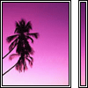 77.gif (100x100, 6Kb)