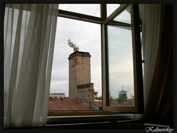 18.jpg (600x450, 176Kb)