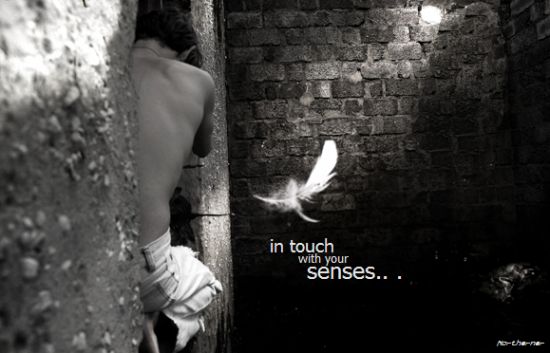 150240_senses.jpg (550x353, 50Kb)