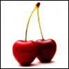 214456_vishenki_used.gif (100x100, 5Kb)