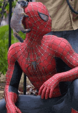 spidierm.gif (250x360, 146Kb)