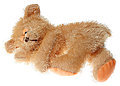 sleaping_bear_1.jpg (120x86, 3Kb)