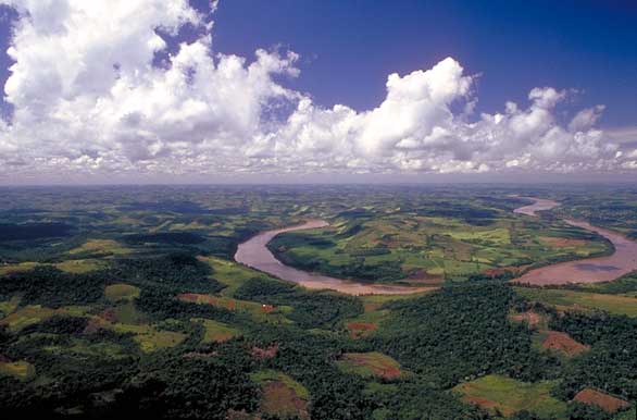 parque-nac-chaco2[1].jpg (586x386, 28Kb)