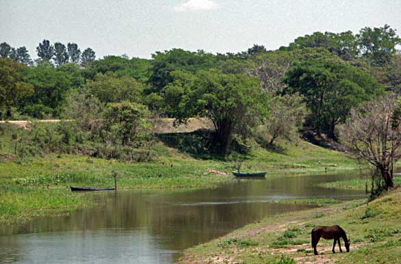 resistencia-rio01[1].jpg (586x386, 38Kb)