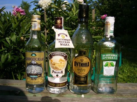 vodka.jpg (480x360, 62Kb)