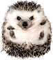 1771_b.gif (77x88, 4Kb)