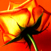 z4831418.gif (100x100, 6Kb)
