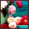 peony1_vivmuffin.jpg (100x100, 6Kb)