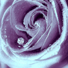 avatar120.gif (100x100, 14Kb)
