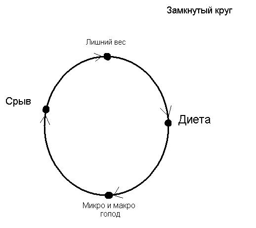 Окружность На Диете 4 Буквы