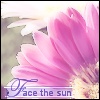 daisiesfacesun702.jpg (100x100, 6Kb)