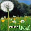thmakeawish.jpg (99x99, 4Kb)