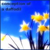 conceptiondaffodil.jpg (100x100, 5Kb)