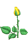 a13.gif (91x131, 21Kb)