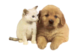 1627_b.gif (245x171, 30Kb)
