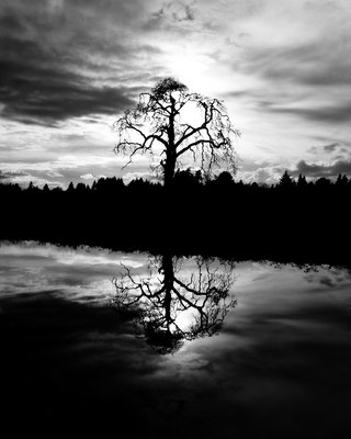 396955_3254219.jpg (320x400, 21Kb)