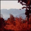 11.gif (100x100, 9Kb)