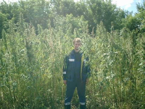 Resize of CIMG0094.JPG (480x360, 90Kb)