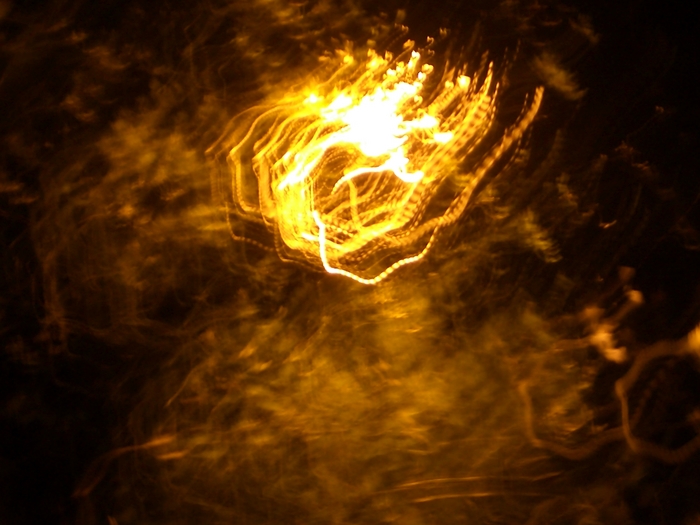 CIMG0831.JPG (700x525, 270Kb)
