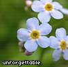 forget_me_not_by_magnetophyte.jpg (100x98, 14Kb)