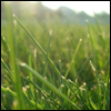 thd7b05d7b.jpg (100x100, 15Kb)