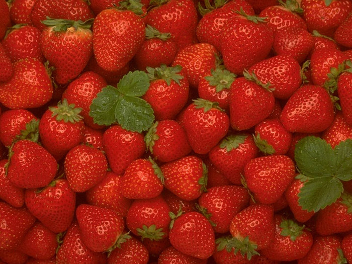 3277356.jpg (700x525, 127Kb)