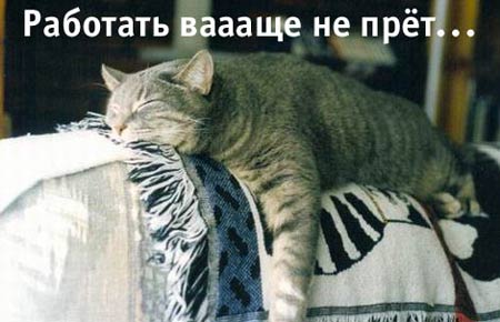 8.jpg (450x290, 26Kb)