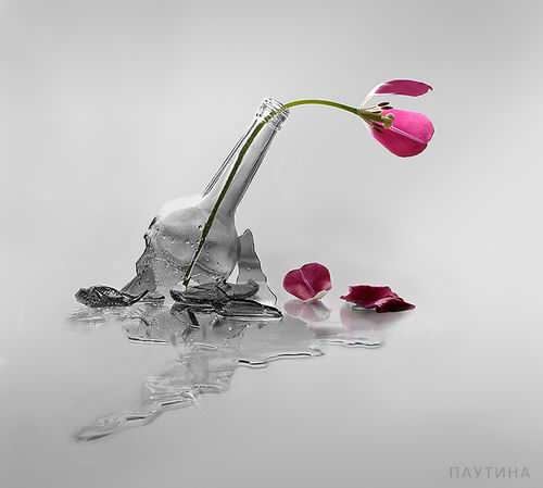 12513_2.jpg (500x449, 22Kb)