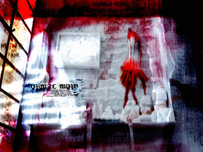 wallpapers_ru_020111_hypotalamus_animal_mind.jpg (700x525, 193Kb)