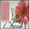 dreamdoricons8us.gif (100x100, 7Kb)
