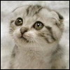 795708_392721.jpg (100x100, 4Kb)