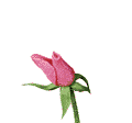 443108_269990_2989569.gif (120x112, 8Kb)