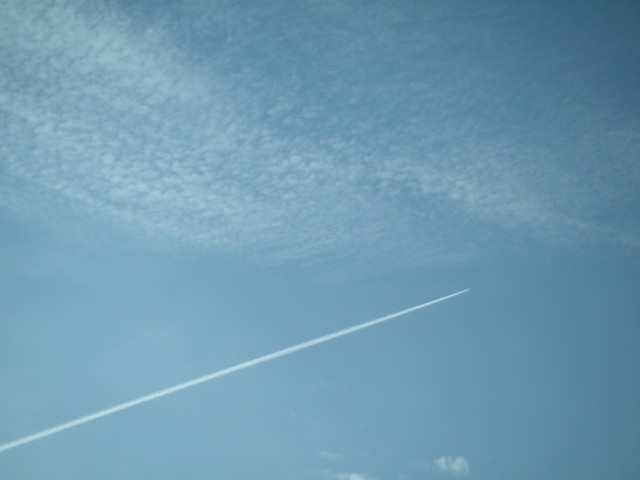 PICT0026.jpg (640x480, 26Kb)