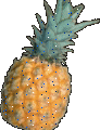 z6377854.gif (92x120, 8Kb)
