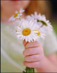 834021_521894.jpg (117x150, 5Kb)