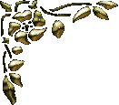 545184_ksgold2.gif (131x115, 4Kb)