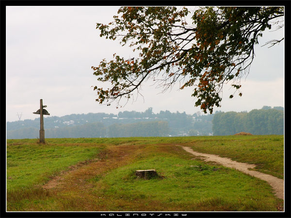 31.jpg (600x450, 290Kb)